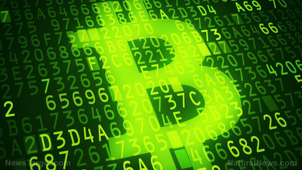 Zano cryptocurrency now live in bitcoin.com wallet, marking a major milestone for privacy-focused blockchain – NaturalNews.com