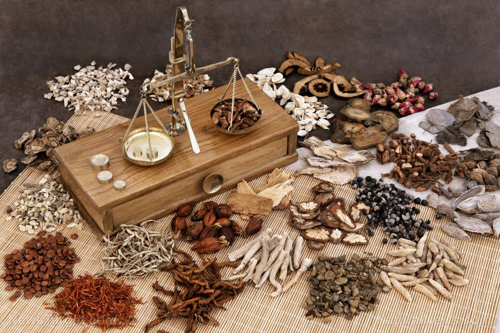 “A Handbook of Chinese Healing Herbs” explores the storied history of Traditional Chinese Medicine