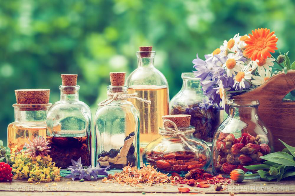 James Green’s guide to herbal medicine-making – NaturalNews.com