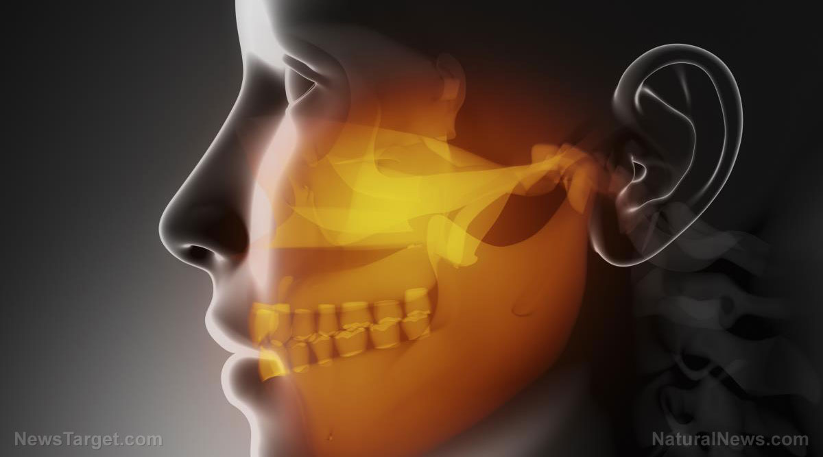 Rapid Tooth Loss Predicts a 33% Higher Risk of Death â Itâs Not Just About Brushing