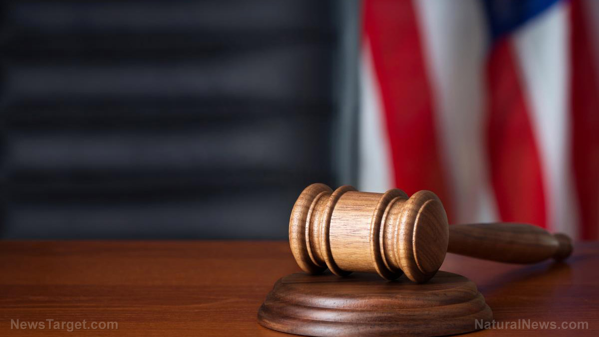 Illinois congressional candidate INDICTED over her role in anti-ICE protests