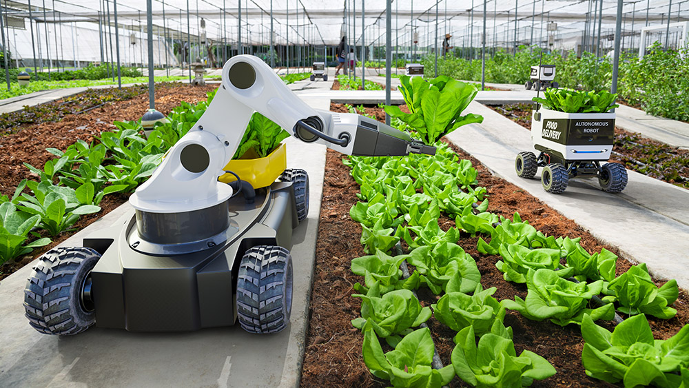 Doosan Robotics and Daedong forge partnership to revolutionize agriculture with AI-powered robots