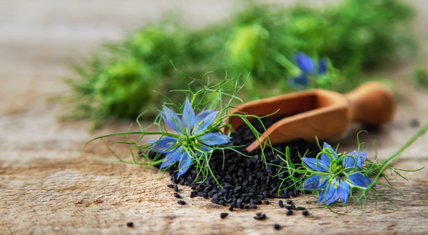 Black cumin seed offers a dual action approach in the fight against obesity and heart disease