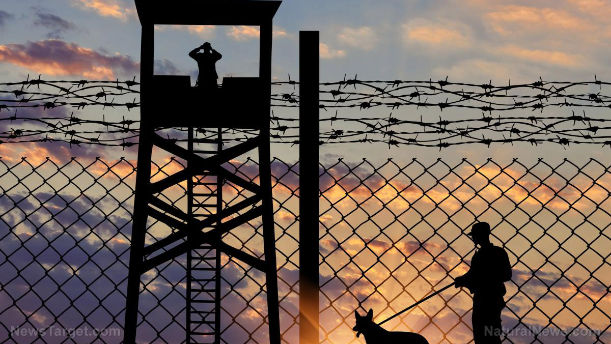 Trump administration touts border security triumph: Six months of zero migrant releases and record low apprehensions