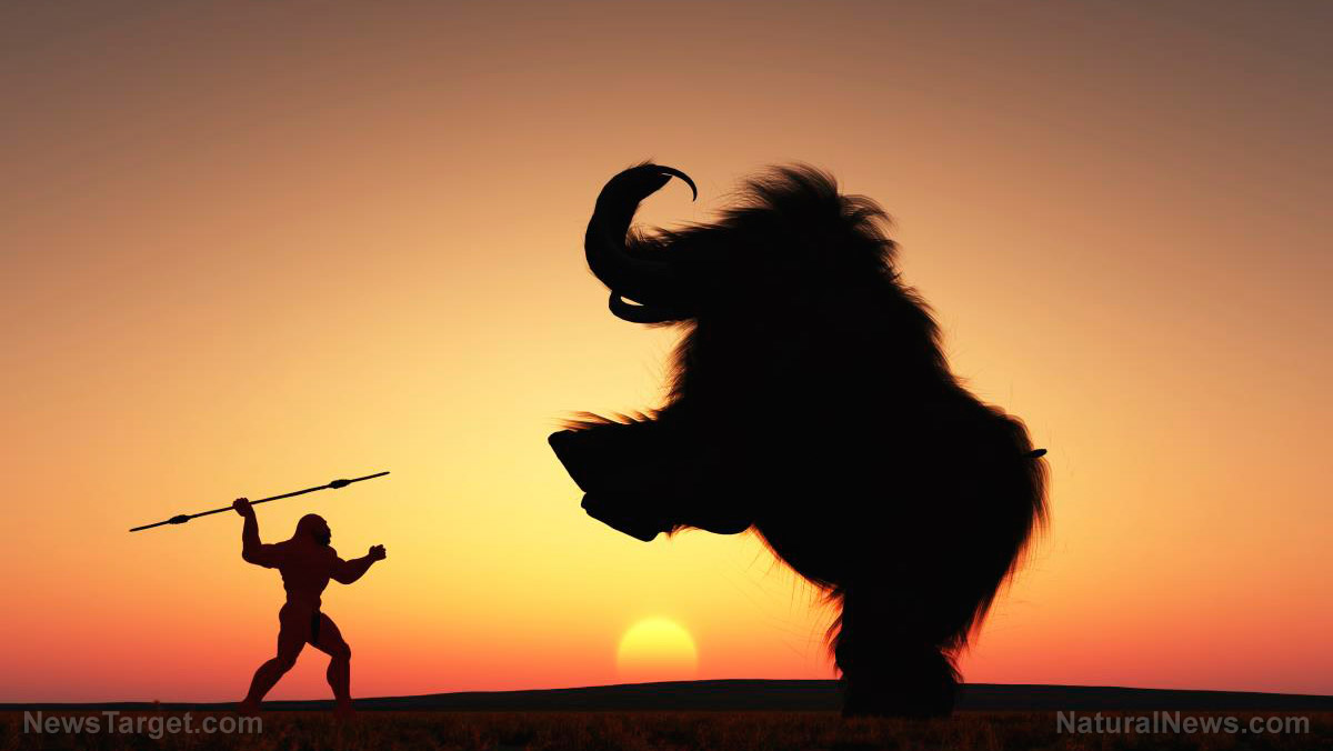 Turns out Stone Age tools were almost perfect: Early humans perfected a tool technology that lasted 300,000 years