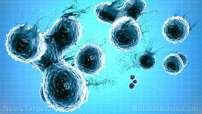 The contagion illusion: How toxins mimic infection and challenge modern medicine