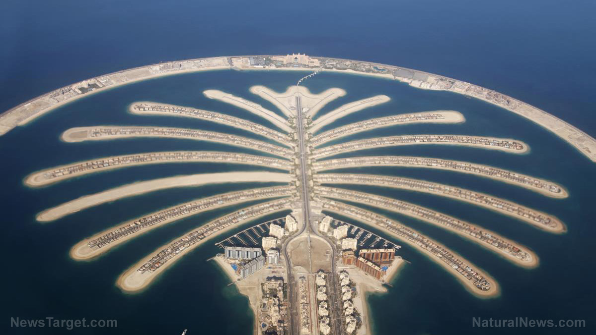 Azerbaijan and UAE forge “indestructible partnership” amid rising global instability