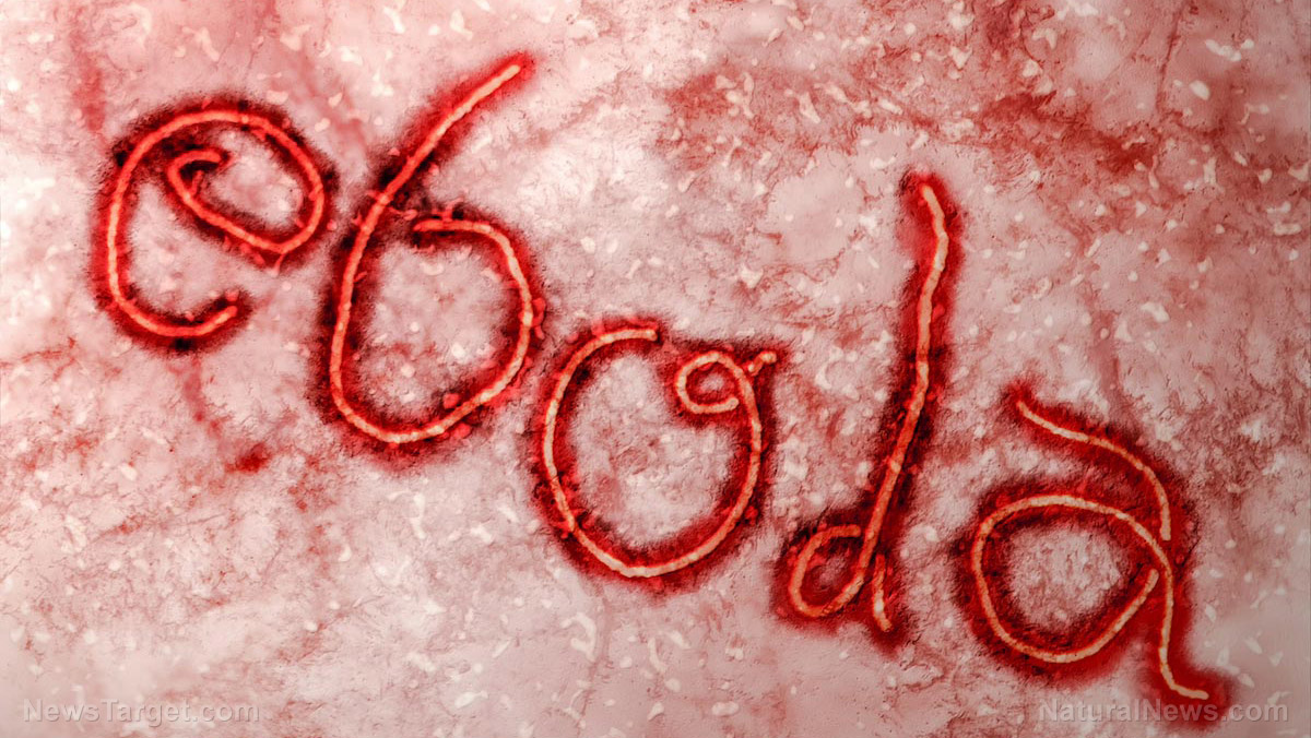 A grim milestone: Congo’s latest Ebola outbreak has been contained, but a broken system remains