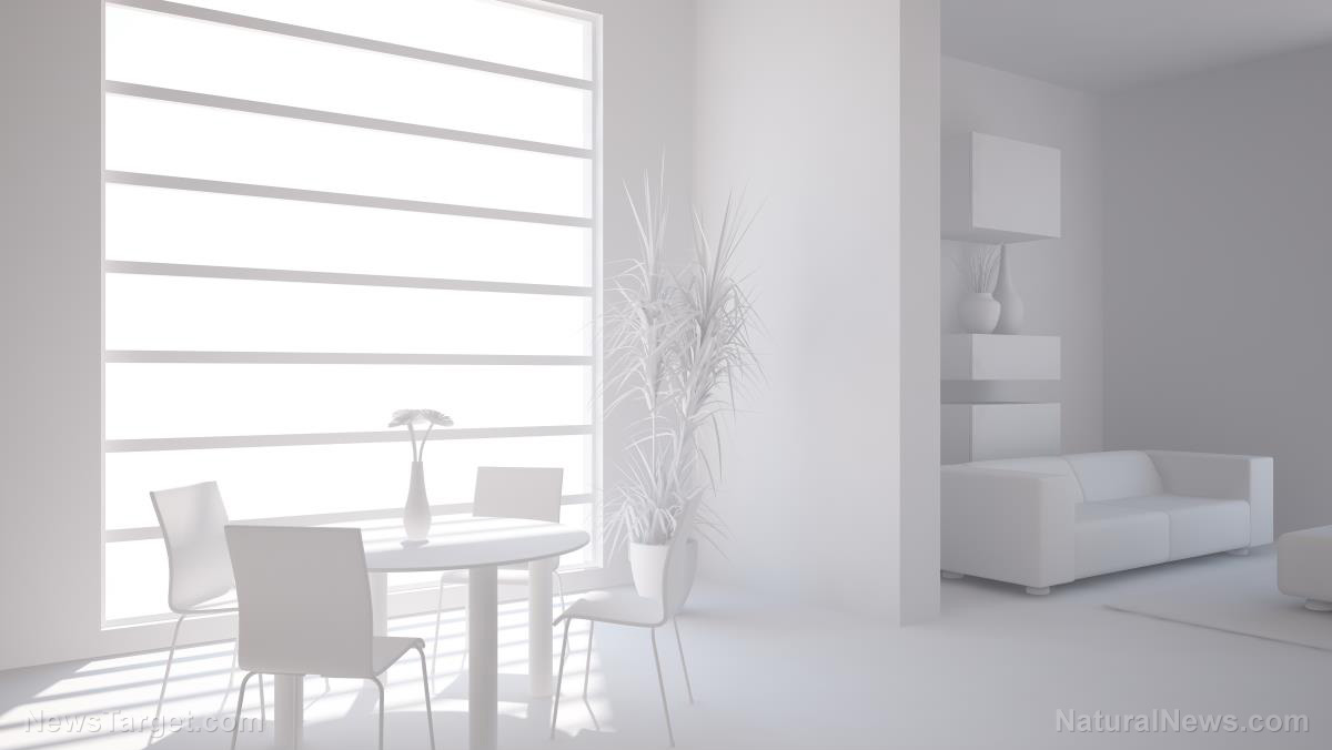 “Bio-Veda” on BrightU: Inventor’s 17-year quest yields eco-home designed to heal the planet and its people