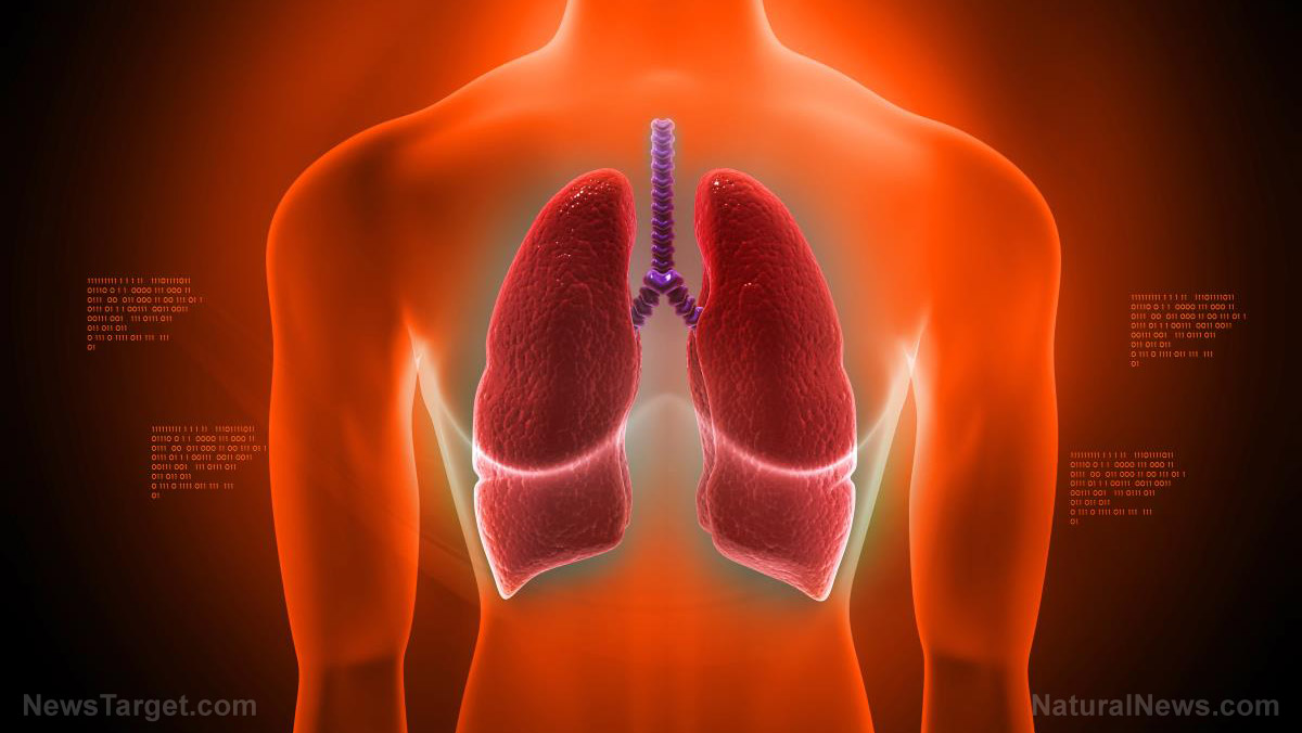 How Traditional Chinese Medicine strengthens the lungs when the weather turns dry and cool