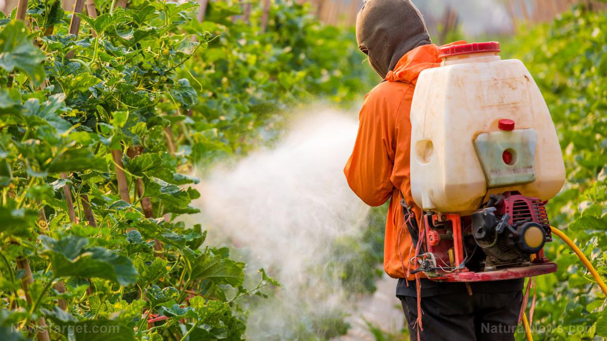 EPA accelerates approval of “forever chemical” pesticides, raising alarms for health and environment