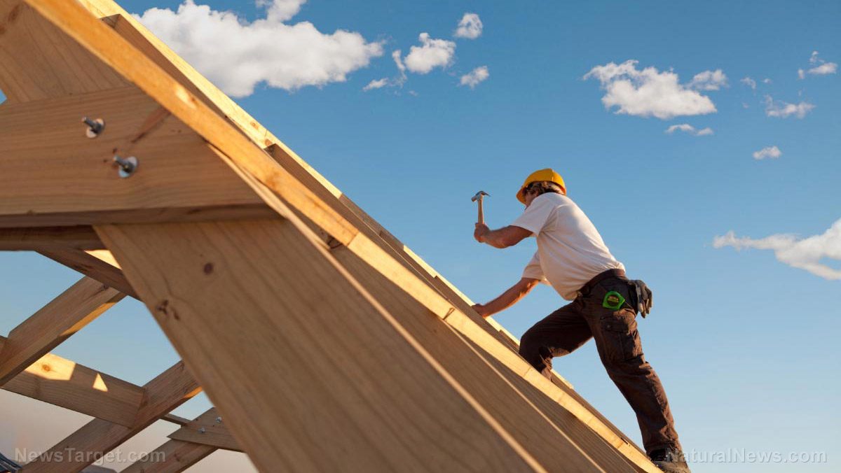 Home Depot’s profit plunge signals a frozen economy and fearful consumers