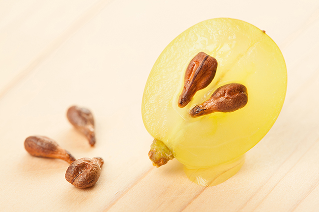 China’s race against time: The quest to extend human lifespan to 150 years