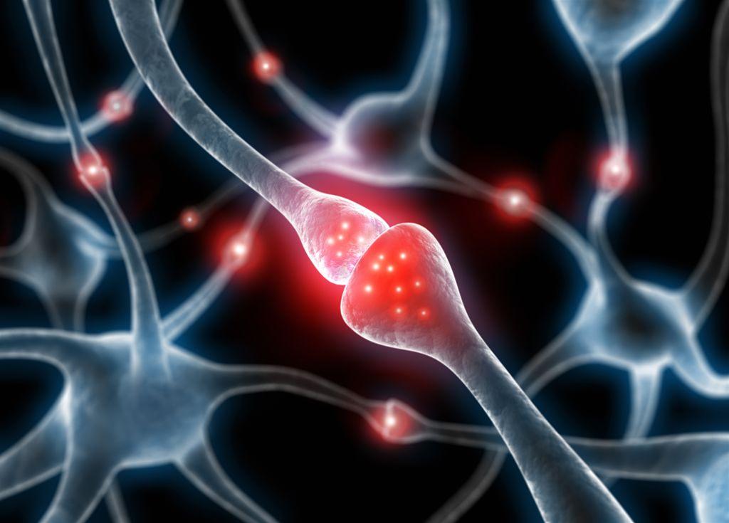 Study links LOUD SOUNDS to dopamine neuron damage, triggering symptoms similar to Parkinson’s disease