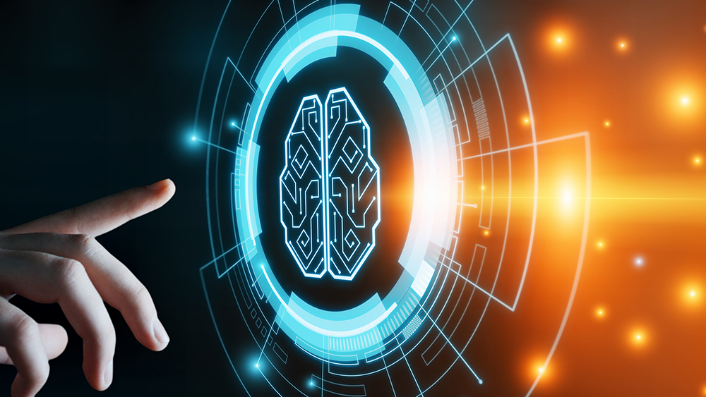 The brain in pain: How chronic suffering rewires the mind and a new path to relief