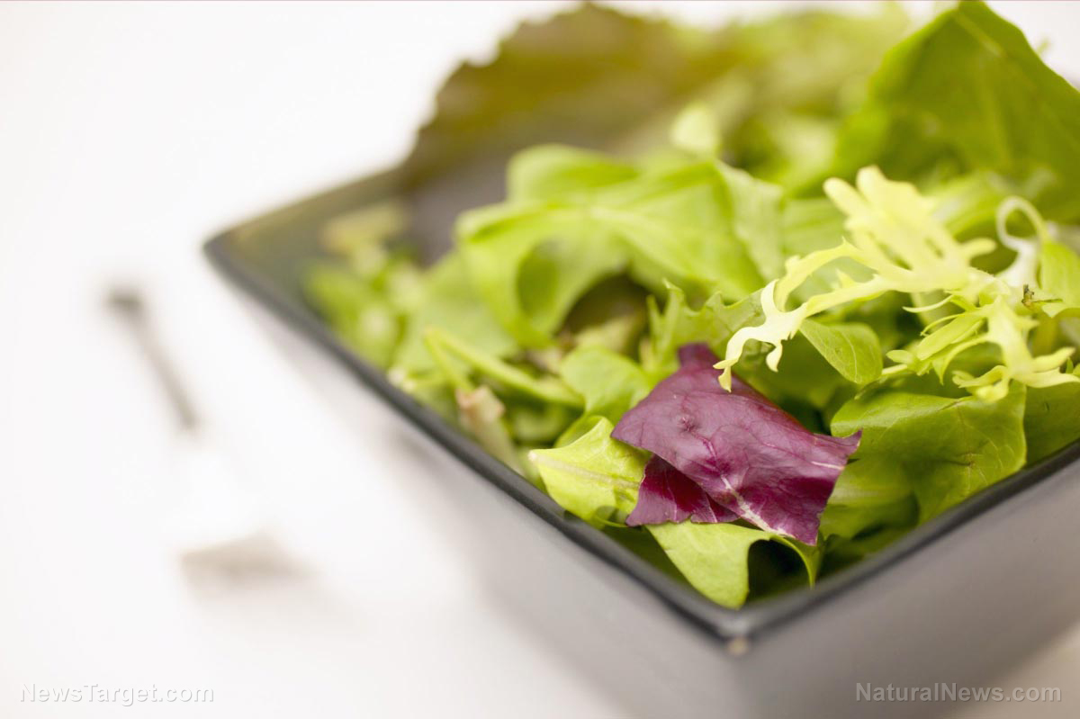 Ready-to-eat salads and snack packs RECALLED over Listeria risk