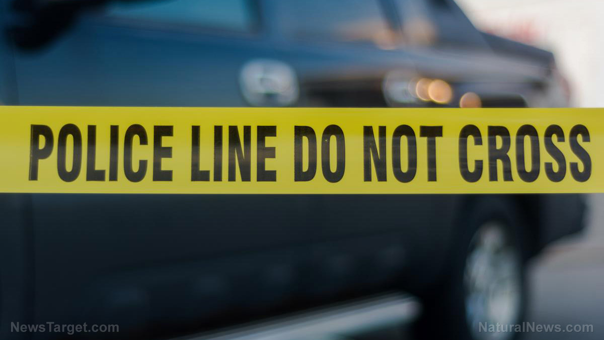 Afghan gunman who targeted 2 National Guard members CHARGED with first-degree murder