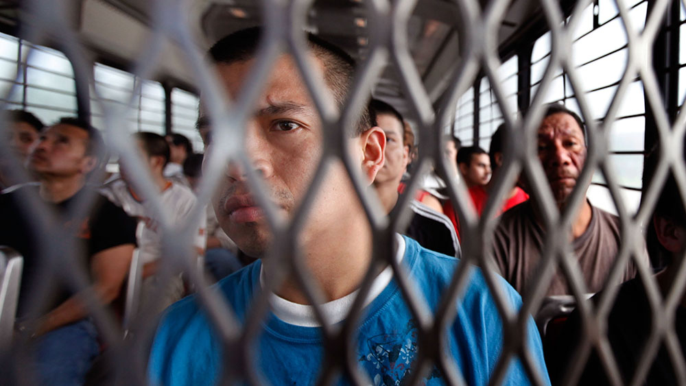 DHS announces immigration milestone under Trump admin: 2.5 million illegals DEPORTED