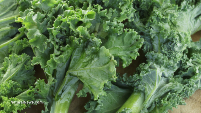 The fat fix: How a simple kitchen staple unlocks kale’s true nutritional power