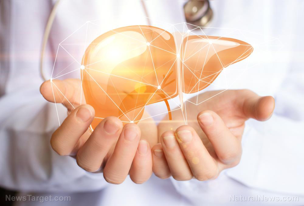 Ancient herbal remedies offer powerful protection against fatty liver disease, study reveals