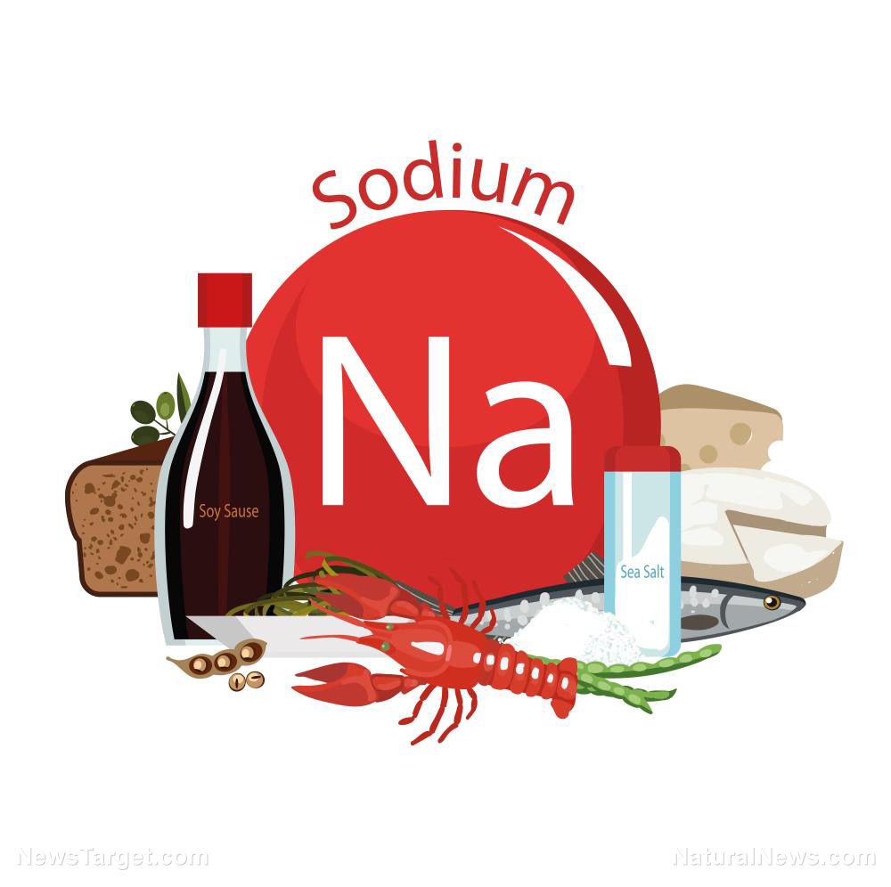 How SODIUM sustains the body and the delicate balance modern diets disrupt