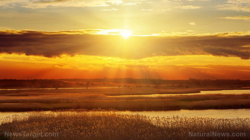 We’ve been lied to about SUN EXPOSURE for decades: Sunlight is critical for cardiovascular function, immune function