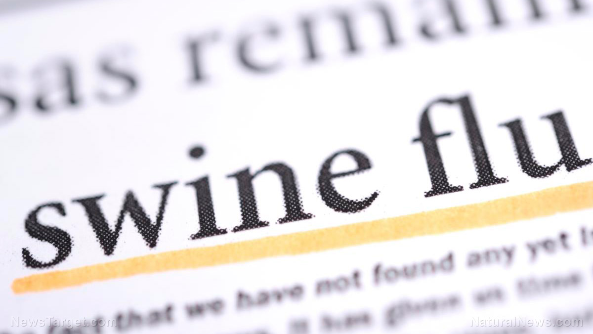 From sandwiches to specimens: Swine fever outbreak puts Spanish lab under microscope