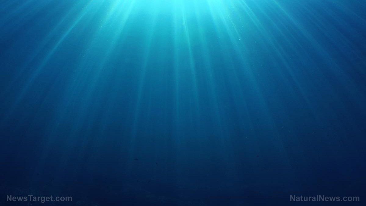 Sunken luxury: 2,000-year-old “pleasure barge” discovered in Alexandria’s ancient harbor