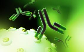 Vaccine science is built on LIES: Antibody measurements after vaccination do not equate to comprehensive, lifelong immunity