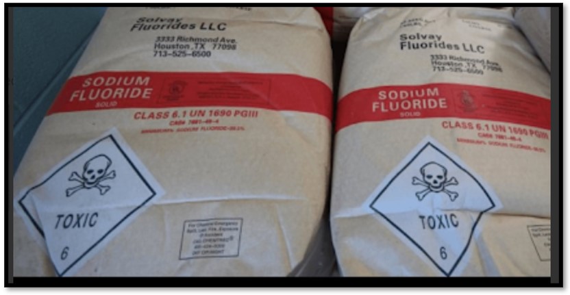 “Regenerate Yourself Masterclass” on BrightU: Brain regeneration and the real role of diet in healing