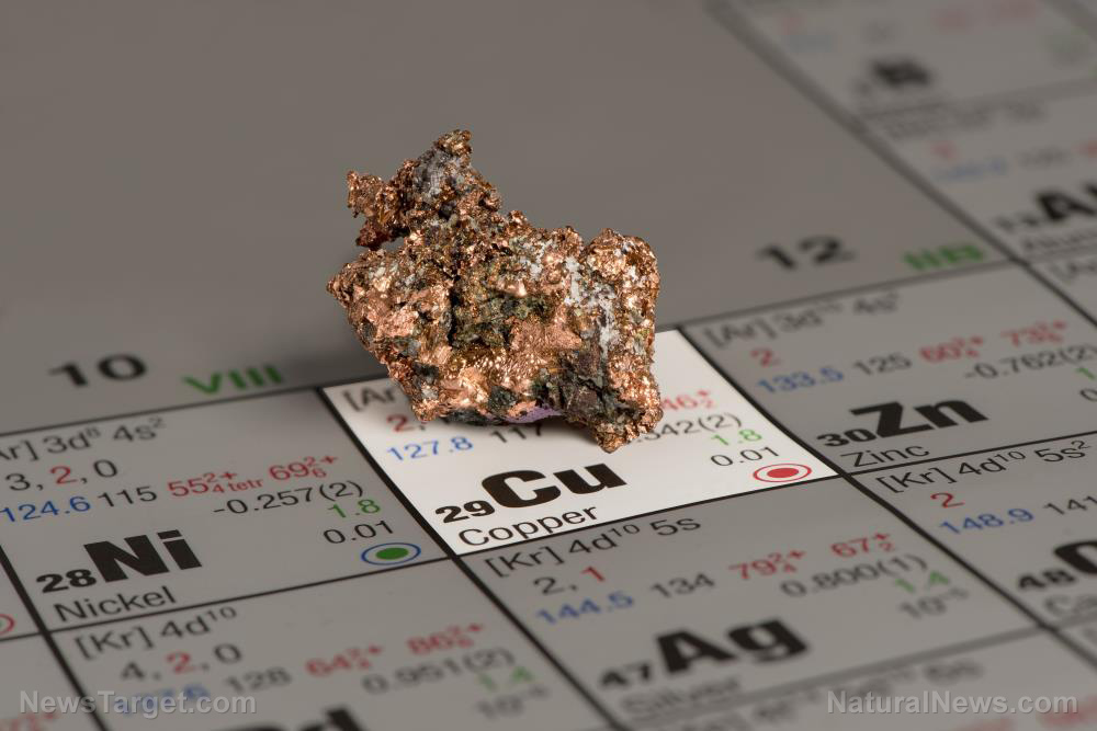 The unsung mineral: How COPPER powers the body and why modern diets are falling short