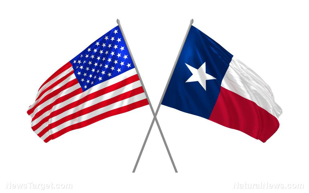 Data handoff: Texas gives 18.4 million voter records to feds after audit flags thousands