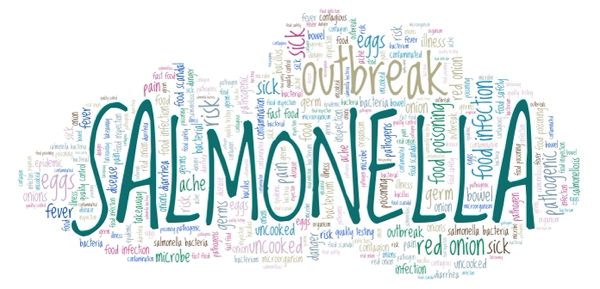 Various food products RECALLED over salmonella contamination, exposing food safety failures