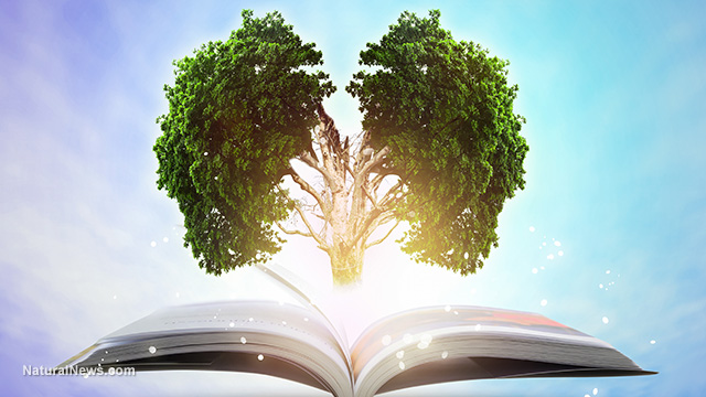 Serotonin secrets: Natural ways to boost your happiness hormone