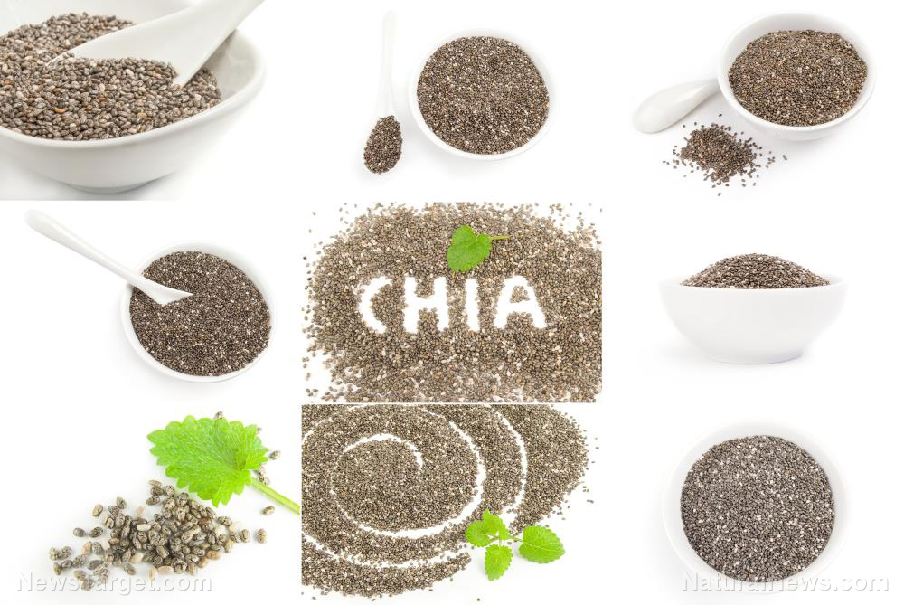 The chronobiology of beauty: Timing your chia seed intake for optimal hair health