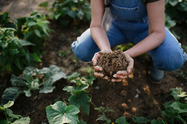 “Wartime Homefront Essential Skills” on BrightU: Community building and the secret to a supercharged soil