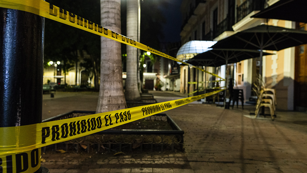 Trapped in Chaos: The Cartel War Zone and the Engineered Crisis Drawing Americans into the Crossfire