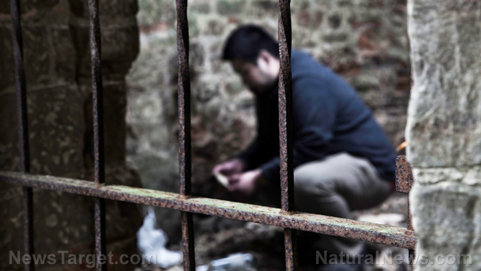 Minnesota man CHARGED over failed attempt to break out Luigi Mangione