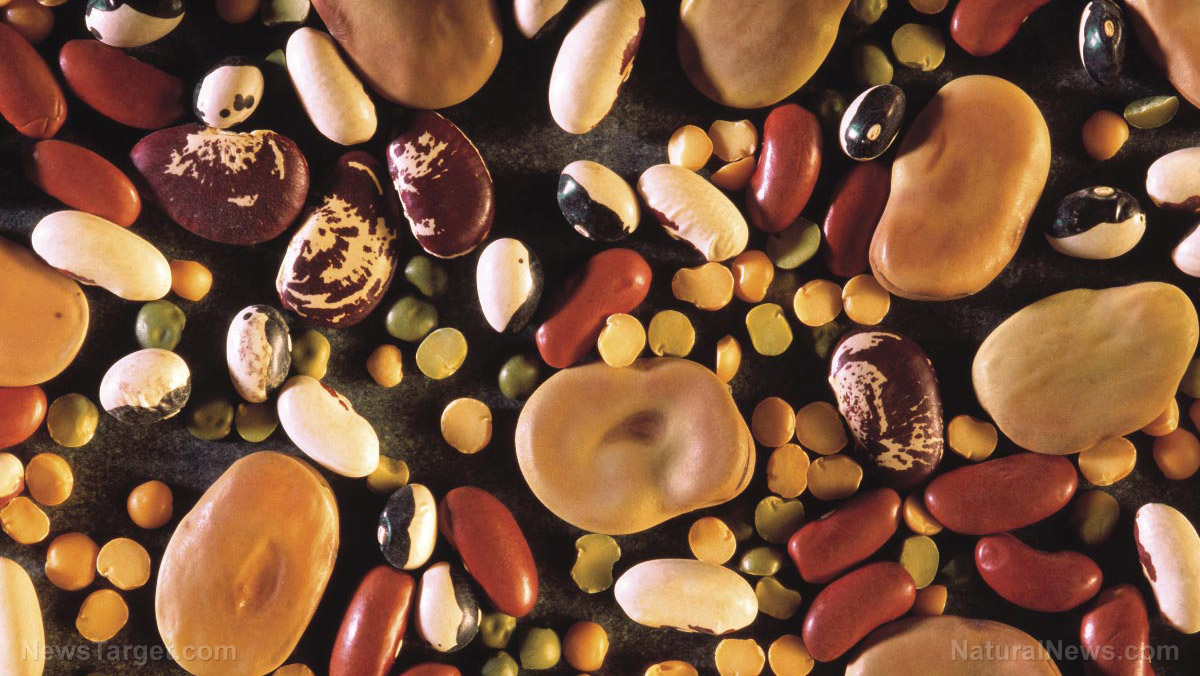 Beans, lentils and peas: The protein powerhouses transforming soups