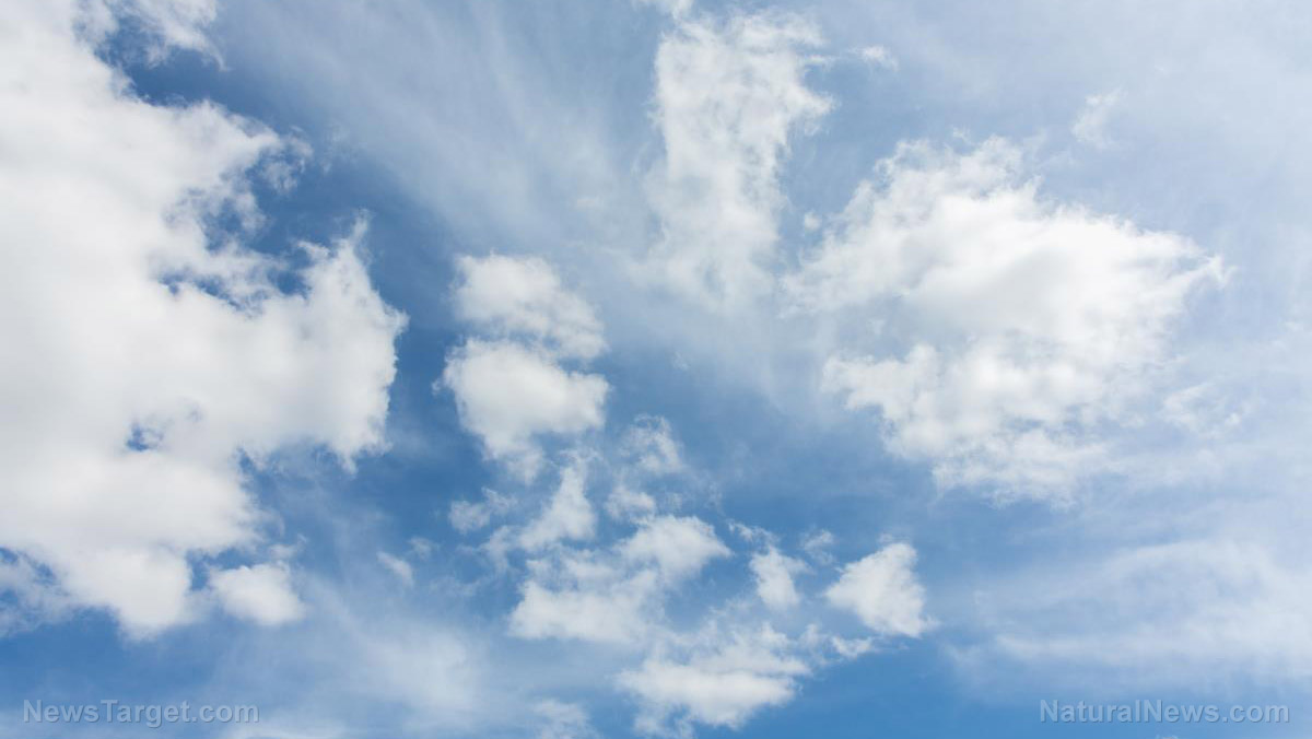 The ozone fix that backfired: Replacement chemicals have blanketed Earth in 335,000 tons of a forever pollutant