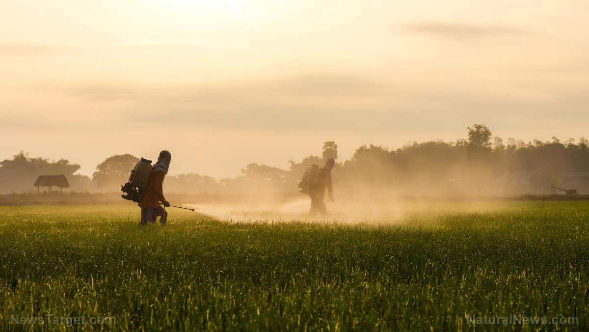 Pesticides linked to neurological disorders: Mounting evidence demands urgent regulatory reform