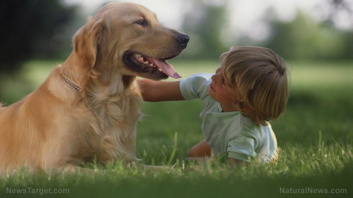 “The Truth About Pet Cancer” on BrightU: How manicured grass and household toxins are fueling a cancer epidemic in pets