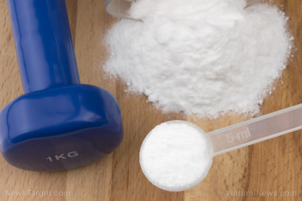 Beyond muscle: How creatine boosts brainpower and why plant-based eaters need it