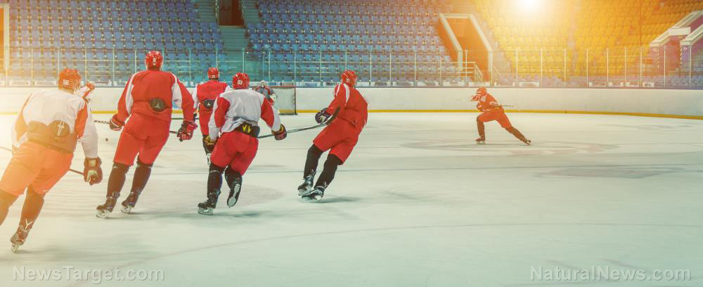 New research reveals vitamin A’s pivotal role in turning “bad” fat into “good” fat