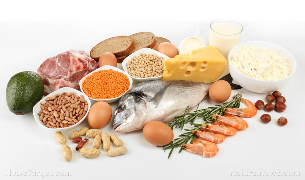 The protein puzzle: Why getting the right amount from the right sources matters