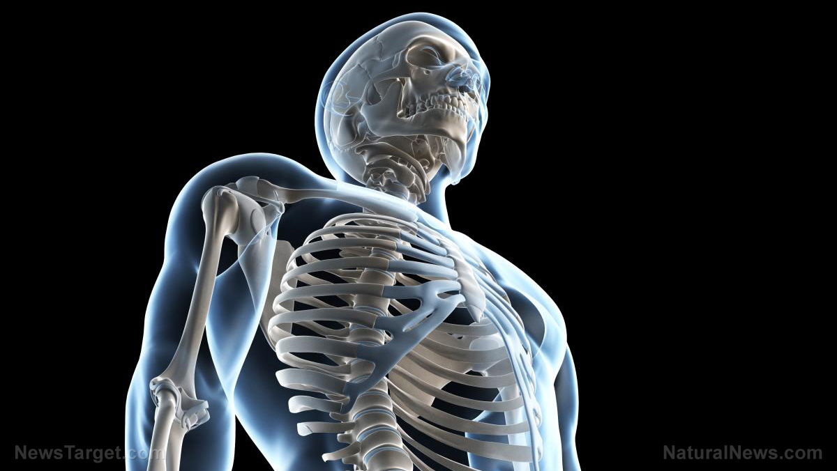 Collagen, vitamin D and calcium: The trio that could save your bones as you age
