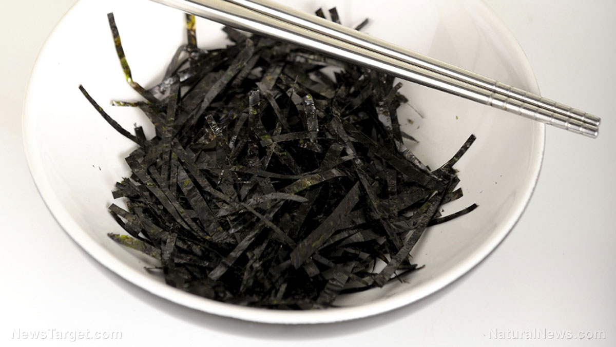Enjoying ocean’s superfood: The risks and rewards of seaweed consumption that you need to know