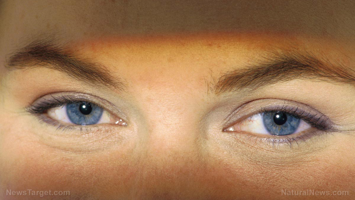 Five nutrients that improve your EYESIGHT in a screen-dominated world