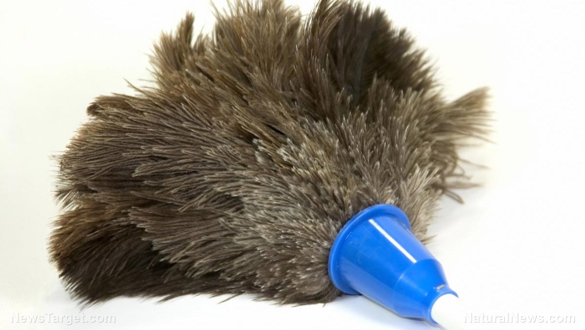 The hidden toxins in your home: How household dust is poisoning your family