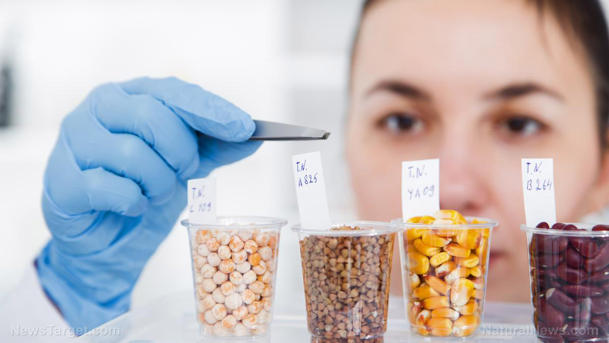 The hidden dangers of GMOs: Why parents must question “safe” genetically modified foods